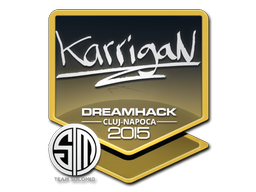 Наклейка | karrigan | Клуж-Напока 2015