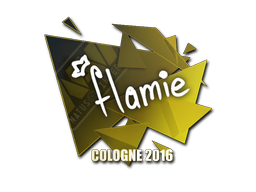flamie | 2016年科隆锦标赛