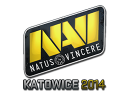 Natus Vincere | 2014年卡托维兹锦标赛