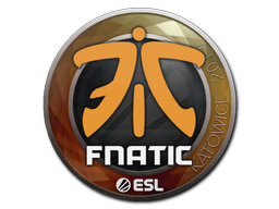Fnatic | 2019年卡托维兹锦标赛