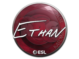 Наклейка | Ethan | Катовице 2019