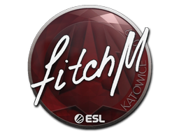 Наклейка | fitch | Катовице 2019