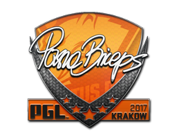 Наклейка | pashaBiceps | Краков 2017