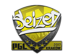 Наклейка | seized | Краков 2017