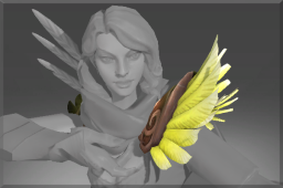 Sparrowhawk Wings