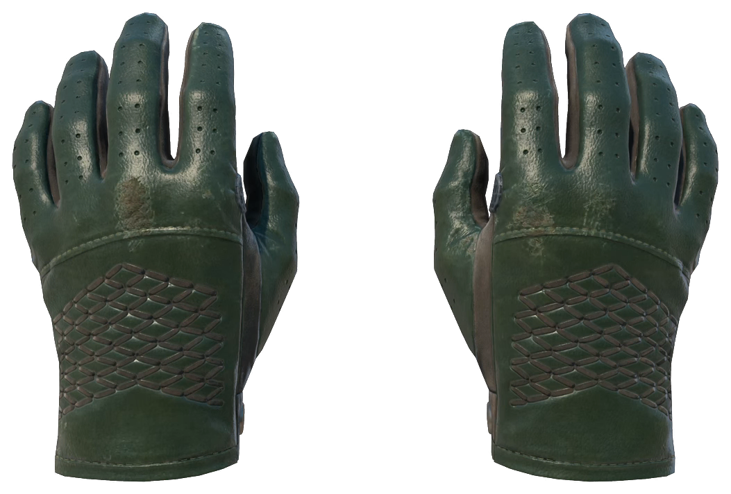 ★ Driver Gloves | Racing Green — Float 0.20