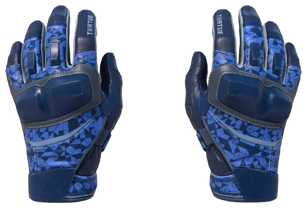 ★ Moto Gloves | Polygon — Float 0.20