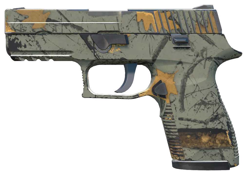 P250 | Modern Hunter — Float 0.20