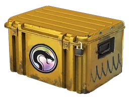 Recoil Case