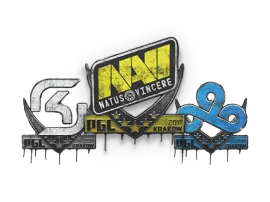 Krakow 2017 Team Graffiti