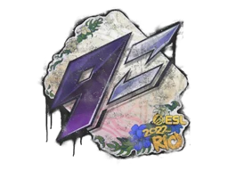 Запечатанный граффити | 9z Team | Рио-2022