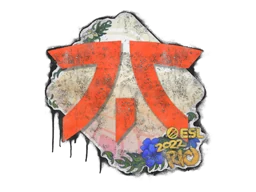 Запечатанный граффити | Fnatic | Рио-2022