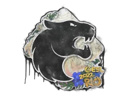 Запечатанный граффити | FURIA | Рио-2022