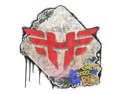 Запечатанный граффити | Heroic | Рио-2022