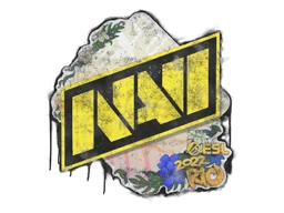 Запечатанный граффити | Natus Vincere | Рио-2022