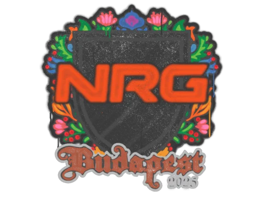 Запечатанный граффити | NRG | Будапешт-2025