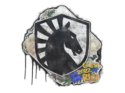 Запечатанный граффити | Team Liquid | Рио-2022