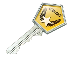 Winter Offensive Case Key