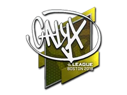 Calyx | 2018年波士顿锦标赛