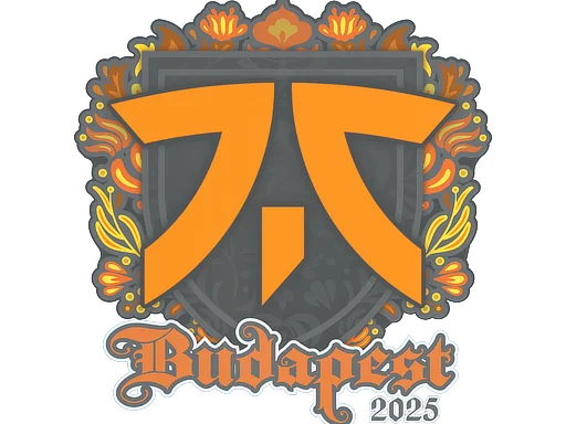 印花 | Fnatic | 2025年布达佩斯锦标赛
