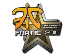 Наклейка | Fnatic | Клуж-Напока 2015