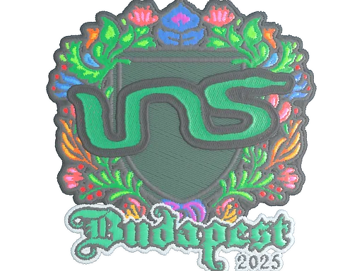 印花 | INS（刺绣）| 2025年布达佩斯锦标赛