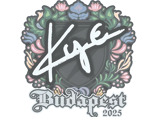 印花 | kye | 2025年布达佩斯锦标赛
