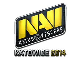 Natus Vincere | 2014年卡托维兹锦标赛