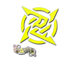 印花 | Ninjas in Pyjamas | 2023年巴黎锦标赛