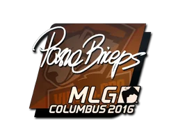 pashaBiceps | 2016年 MLG 哥伦布锦标赛