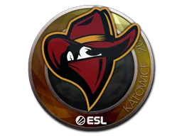 Renegades | 2019年卡托维兹锦标赛