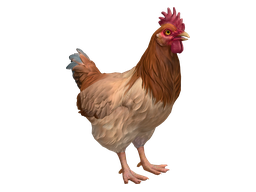Catalana