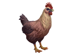 Pet Chicken | Catalana (Yellow Red Gradient)