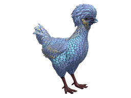 Pet Chicken | Polish (Blue and Yellow)
