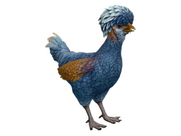 Pet Chicken | Polish (Blue)