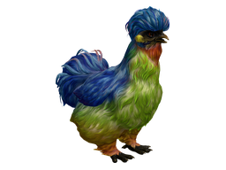 Pet Chicken | Silkie (Blue with Red Beard)