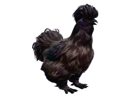 Pet Chicken | Silkie (Purple)