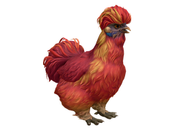 Pet Chicken | Silkie (Red)