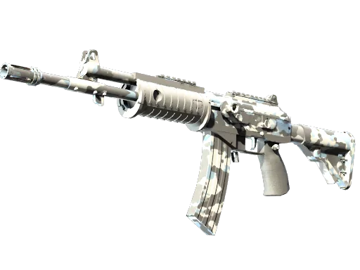 Galil AR | Winter Forest