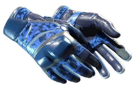 ★ Moto Gloves | Polygon