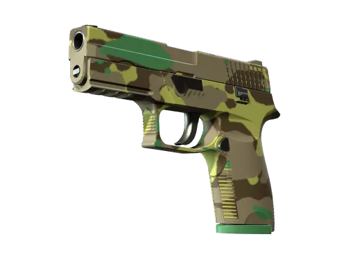 P250 | 北方森林