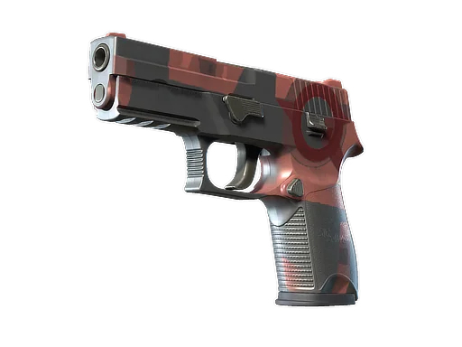 P250 | 建构主义者